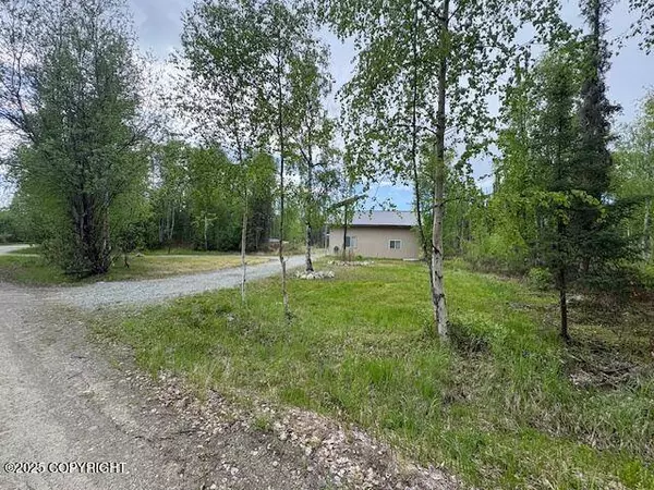 12349 Looking Glass DR, Houston, AK 99623