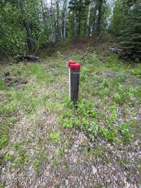 12349 Looking Glass DR, Houston, AK 99623