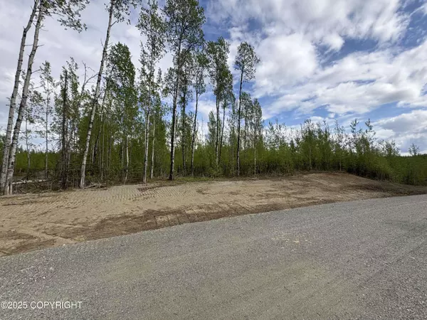 L1 B3 S Davies, Big Lake, AK 99652