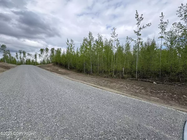 L1 B3 S Davies, Big Lake, AK 99652