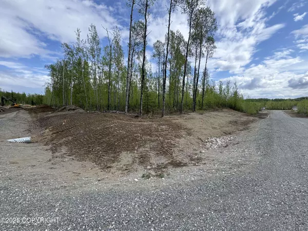 L1 B3 S Davies, Big Lake, AK 99652