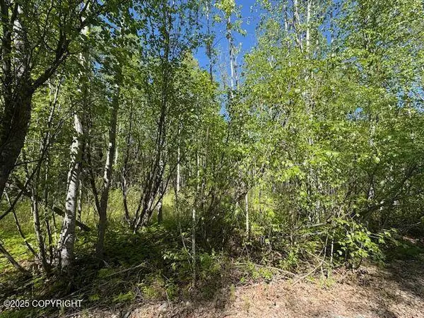 15377 W 7th ST, Wasilla, AK 99654