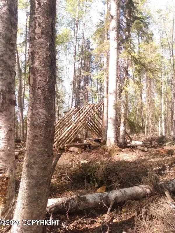 Tr E NO ROAD ASLS 82-208, Big Lake, AK 99652