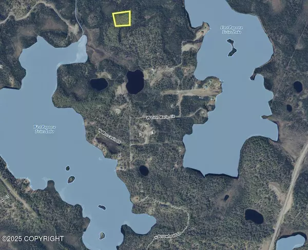 Tr E NO ROAD ASLS 82-208, Big Lake, AK 99652