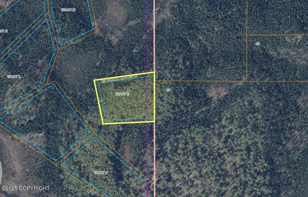 Tr E NO ROAD ASLS 82-208, Big Lake, AK 99652