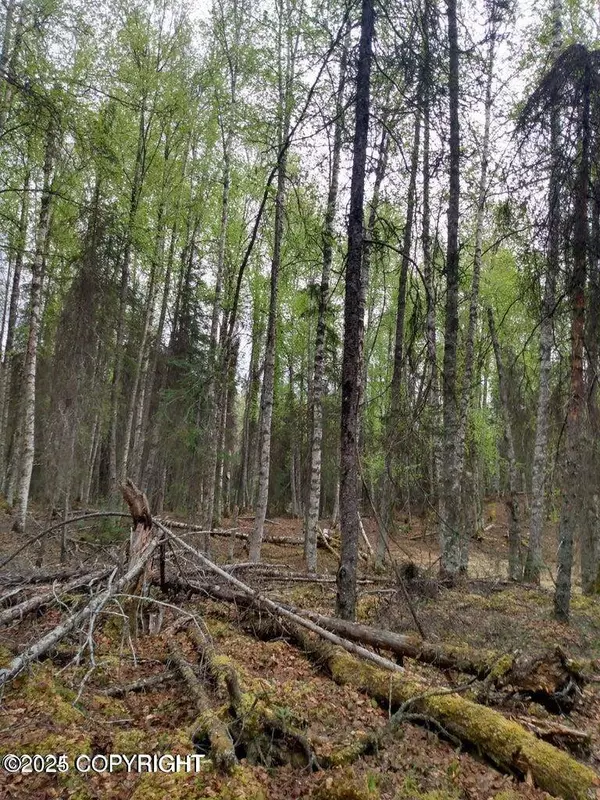 Tr E NO ROAD ASLS 82-208, Big Lake, AK 99652