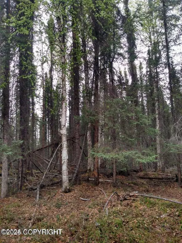 Tr E NO ROAD ASLS 82-208, Big Lake, AK 99652