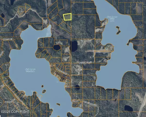 Tr E NO ROAD ASLS 82-208, Big Lake, AK 99652