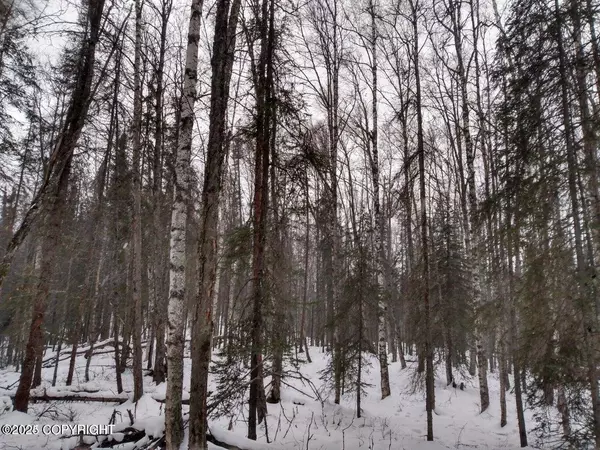 Tr E NO ROAD ASLS 82-208, Big Lake, AK 99652