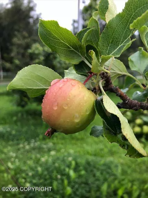 1571 S Middle Mesa DR, Palmer, AK 99645