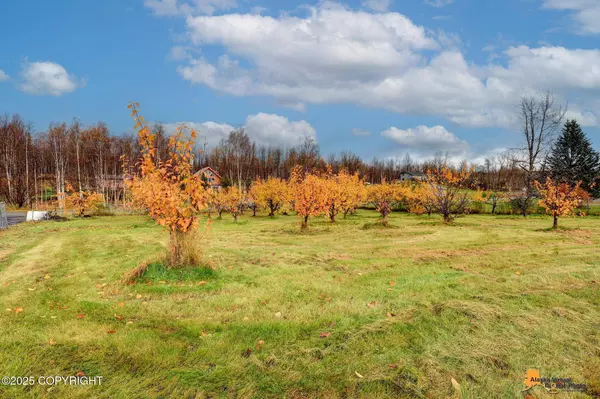 1571 S Middle Mesa DR, Palmer, AK 99645