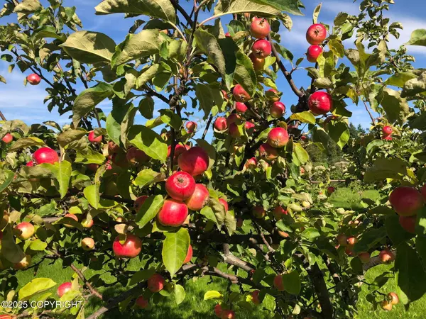 1571 S Middle Mesa DR, Palmer, AK 99645