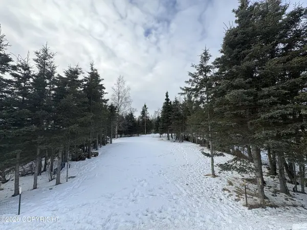 1227 Lilac LN, Kenai, AK 99611