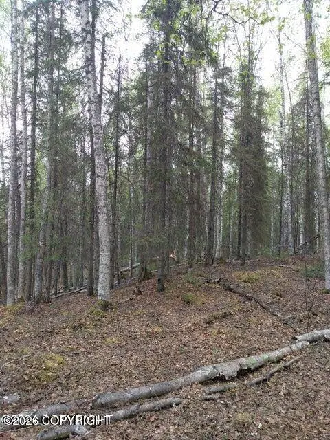 Tr E No Road, Big Lake, AK 99652