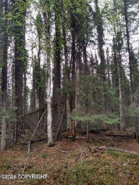 Tr E No Road, Big Lake, AK 99652