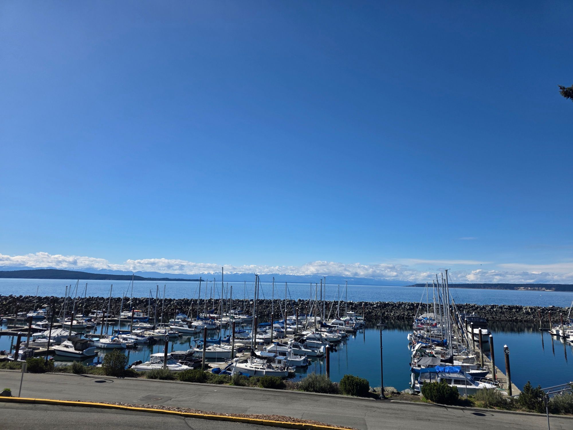 Powell River harbour