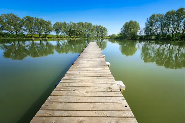 Buying Waterfront in Parksville, Nanaimo, Nanoose Bay, and More: What to Check First,Jessica Venables