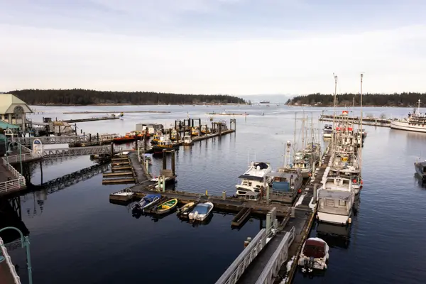 Nanaimo harbour