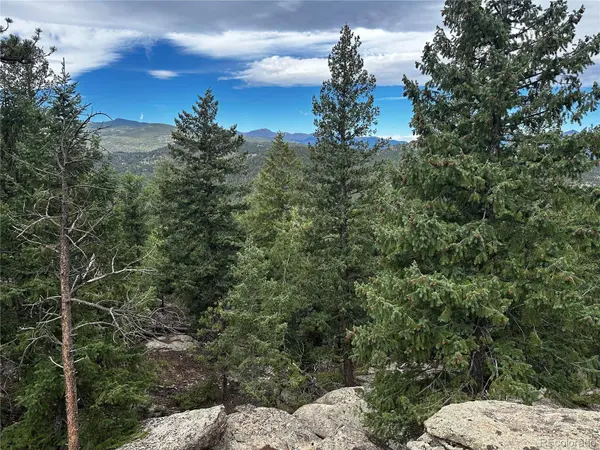 6901 Lynx Lair RD, Evergreen, CO 80439
