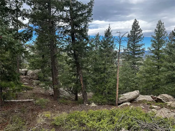6901 Lynx Lair RD, Evergreen, CO 80439