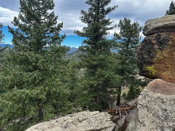 6901 Lynx Lair RD, Evergreen, CO 80439