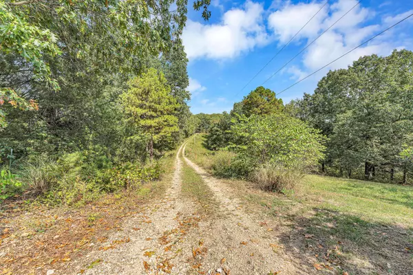 27535 Fr 2150, Cape Fair, MO 65624