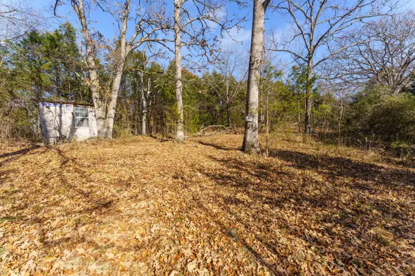 000 Boulder Drive, Lampe, MO 65681