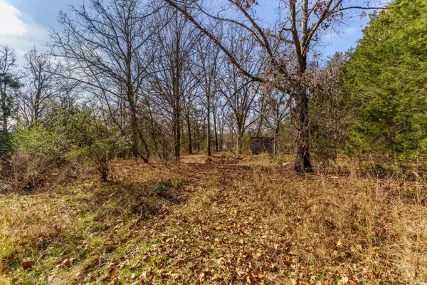 000 Boulder Drive, Lampe, MO 65681