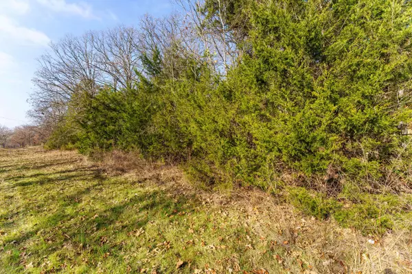 000 Boulder Drive, Lampe, MO 65681