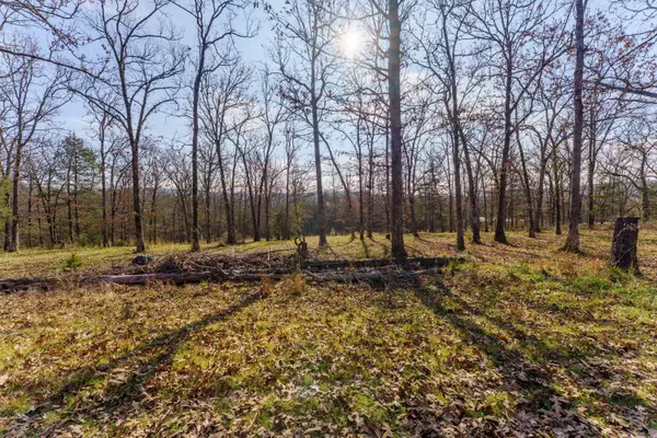 000 Century Lane, Lampe, MO 65681