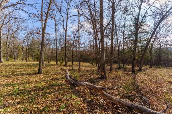 000 Century Lane, Lampe, MO 65681