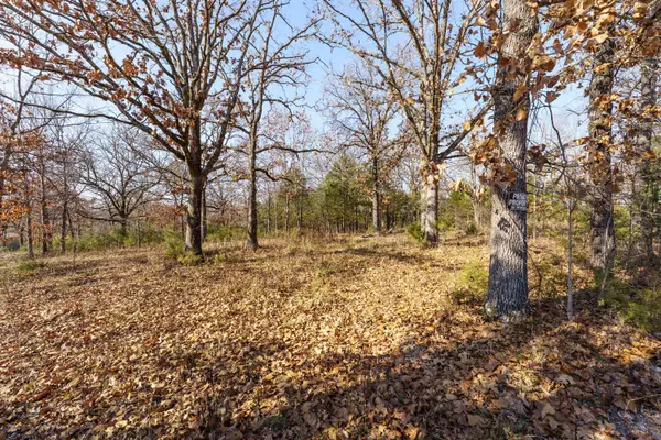 001 Boulder Drive, Lampe, MO 65681