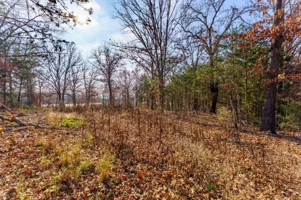 001 Boulder Drive, Lampe, MO 65681