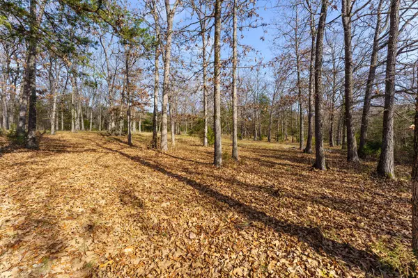 000 Century Lane, Lampe, MO 65681