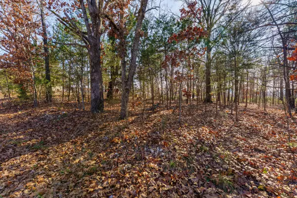 001 Boulder Drive, Lampe, MO 65681