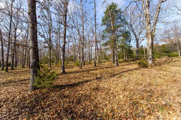 000 Century Lane, Lampe, MO 65681