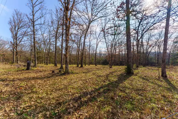 000 Century Lane, Lampe, MO 65681