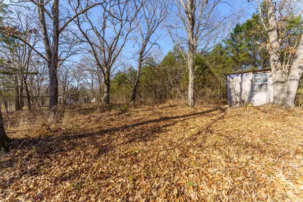 000 Boulder Drive, Lampe, MO 65681