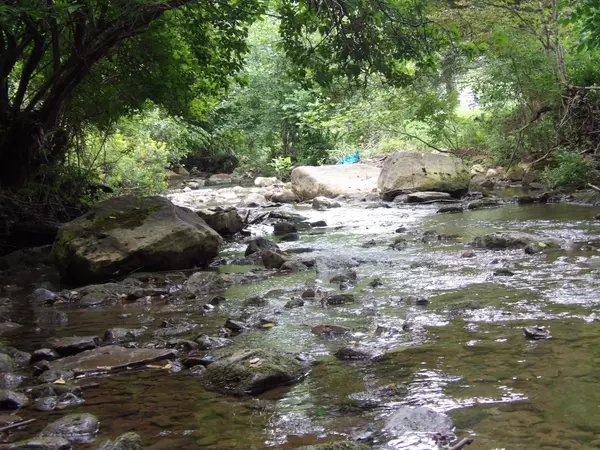 "Land for Sale West Virginia"