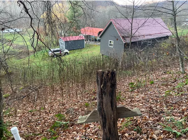 21953 Seneca Trl, Valley Head, WV 26294