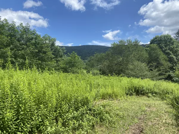 Lot 133 Sunset Mountain Village Slatyfork WV