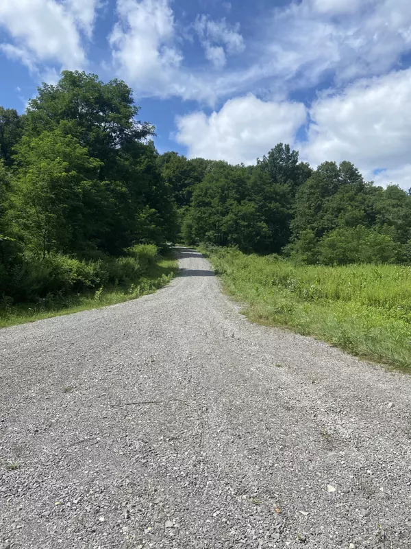 Wv,,Lot 135 Sunset Mountain Village Slatyfork