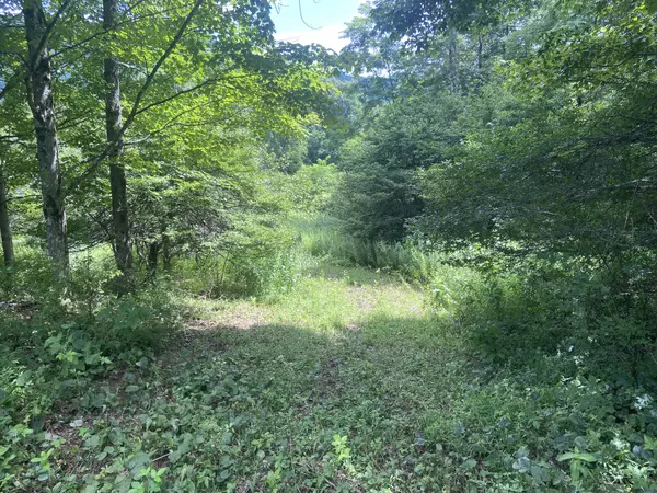 Wv,,Lot 132 Sunset Mountain Village Slatyfork