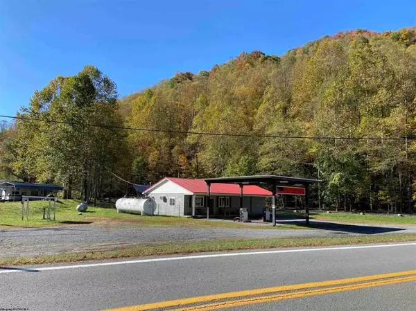 Webster Springs, WV 26288,Bergoo Rd