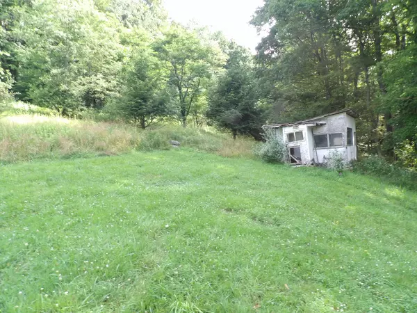 Belington, WV 26250-1519,60 Marley Ln