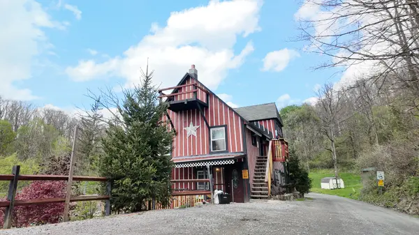 151 Patricia Ave, Elkins, WV 26241-3991