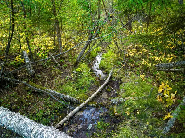 NHN Black Lake RD, Rexford, MT 59930