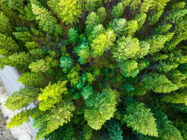 NHN Black Lake RD, Rexford, MT 59930