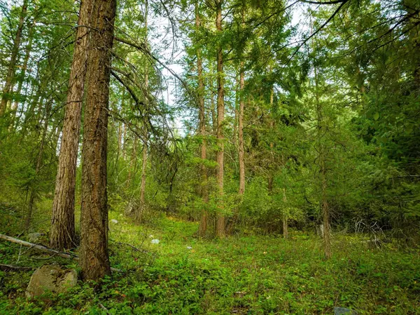 NHN Black Lake RD, Rexford, MT 59930