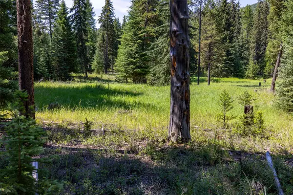 1286 Coon Hollow RD, Kila, MT 59920